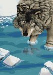 (image for) Cold Water